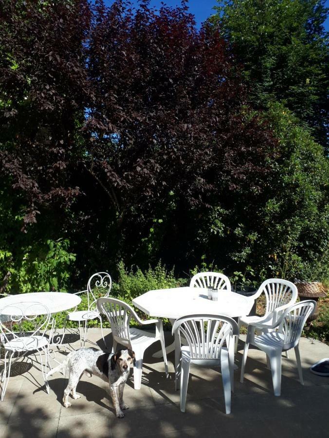Saint-Eusebe Mansion - Hotel Particulier St-Eusebe Auxerre Bagian luar foto
